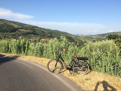 E - Bikes Florence